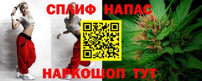 трава Гатчина