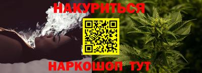 трава Гатчина