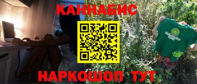 трава Гатчина