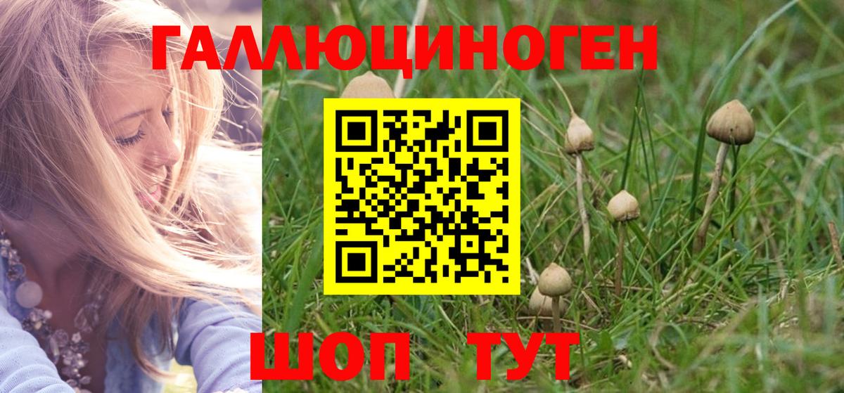 купить наркоту  Вход с VPN  Галлюциногенные грибы MAGIC MUSHROOMS  Нефтекумск  Псилоцибиновые грибы прущие грибы 